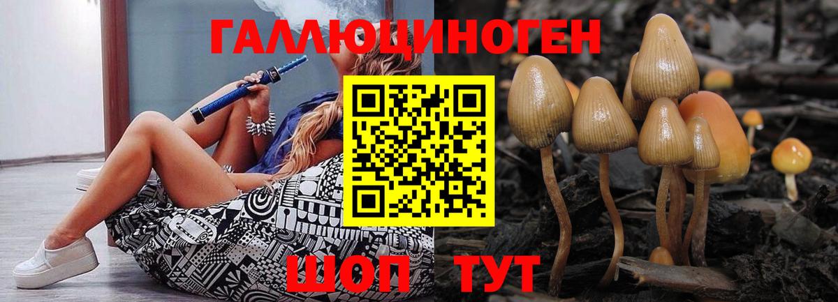 Псилоцибиновые грибы мухоморы  Псилоцибиновые грибы Psilocybe  Вход с VPN  Шебекино 